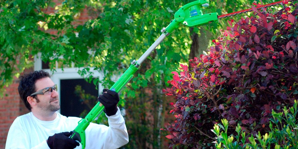 L'impact écologique des taille-haies électriques